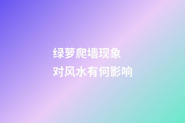 绿萝爬墙现象 对风水有何影响